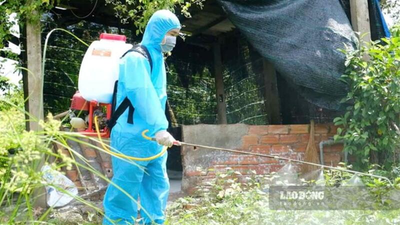 Dịch tả heo châu Phi diễn biến phức tạp, Cần Thơ siết quản lý hoạt động mua bán