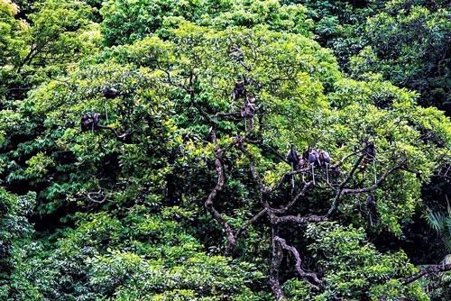 Viên ngọc quý Động Châu - khe Nước Trong - Ảnh 1. Viên ngọc quý Động Châu - khe Nước Trong - Ảnh 1.