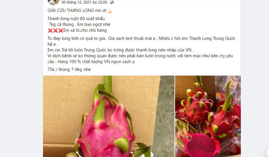Thanh long ruột đỏ xuất khẩu giá rẻ giật mình chưa đến 10k/kg - Ảnh 5.