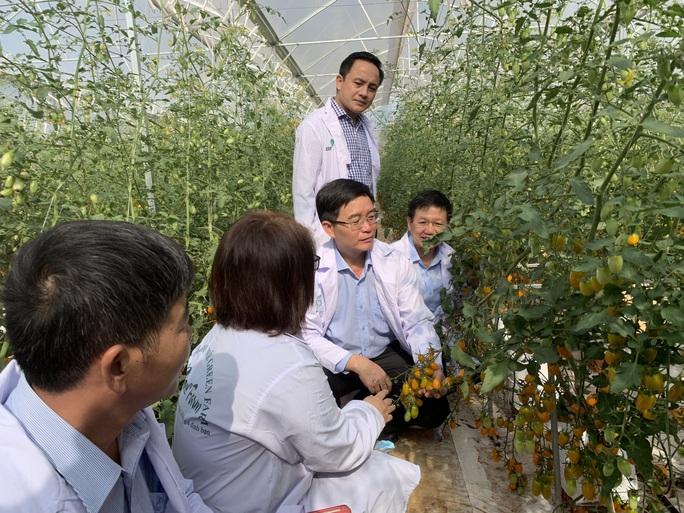 Phát triển nông nghiệp tích hợp đa giá trị - Ảnh 1. Phát triển nông nghiệp tích hợp đa giá trị - Ảnh 1.