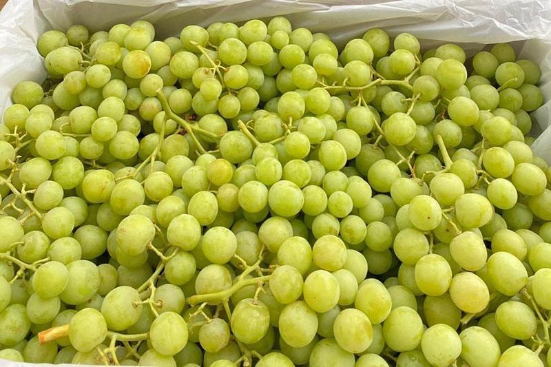 Nghịch lý đặc sản Việt: Hàng ngoại đổ bộ, đồ nội tràn chợ giá rẻ bèo - Ảnh 1.