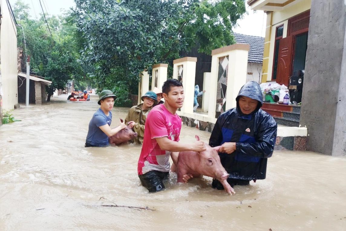 Tam Đảo ghi nhận lượng mưa kỷ lục trong vòng 60 năm - Ảnh 1.