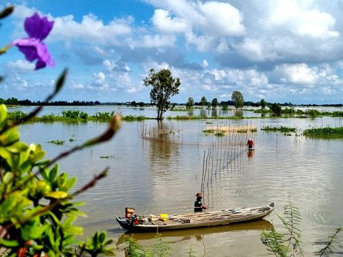 Miền Tây mong ngóng mùa lũ lớn - Ảnh 1.