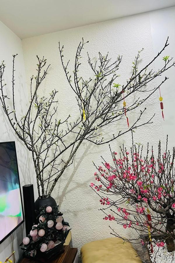 Ngắm căn nhà thuê của nghệ sĩ vừa xuất hiện trở lại trên truyền hình sau một năm trị bệnh - Ảnh 12.