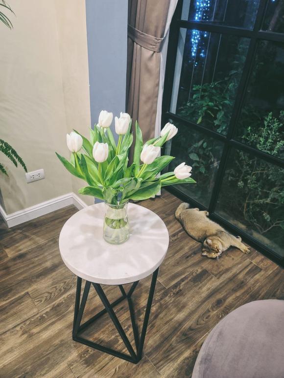 Hé lộ không gian sống của Hoa hậu thân thiện Dương Thùy Linh - Ảnh 5.