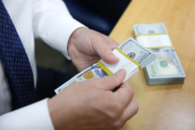 Giá Euro và USD biến động trái chiều, chuyện chưa từng có trong 20 năm  - Ảnh 1.