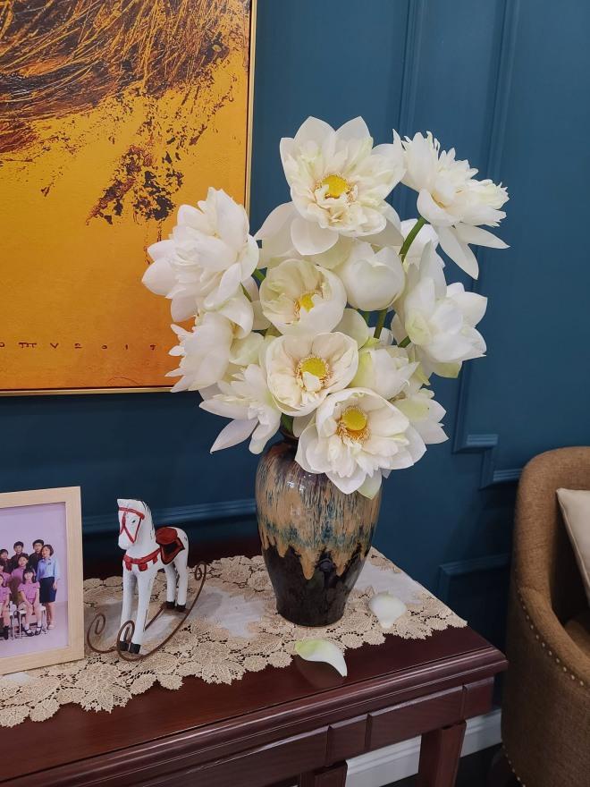 Hé lộ không gian sống của Hoa hậu thân thiện Dương Thùy Linh - Ảnh 11.