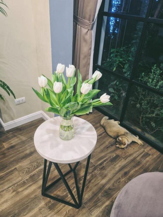 Hé lộ không gian sống của Hoa hậu thân thiện Dương Thùy Linh - Ảnh 10.