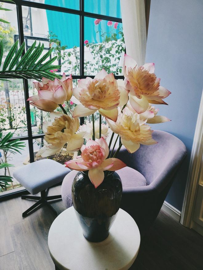 Hé lộ không gian sống của Hoa hậu thân thiện Dương Thùy Linh - Ảnh 14.