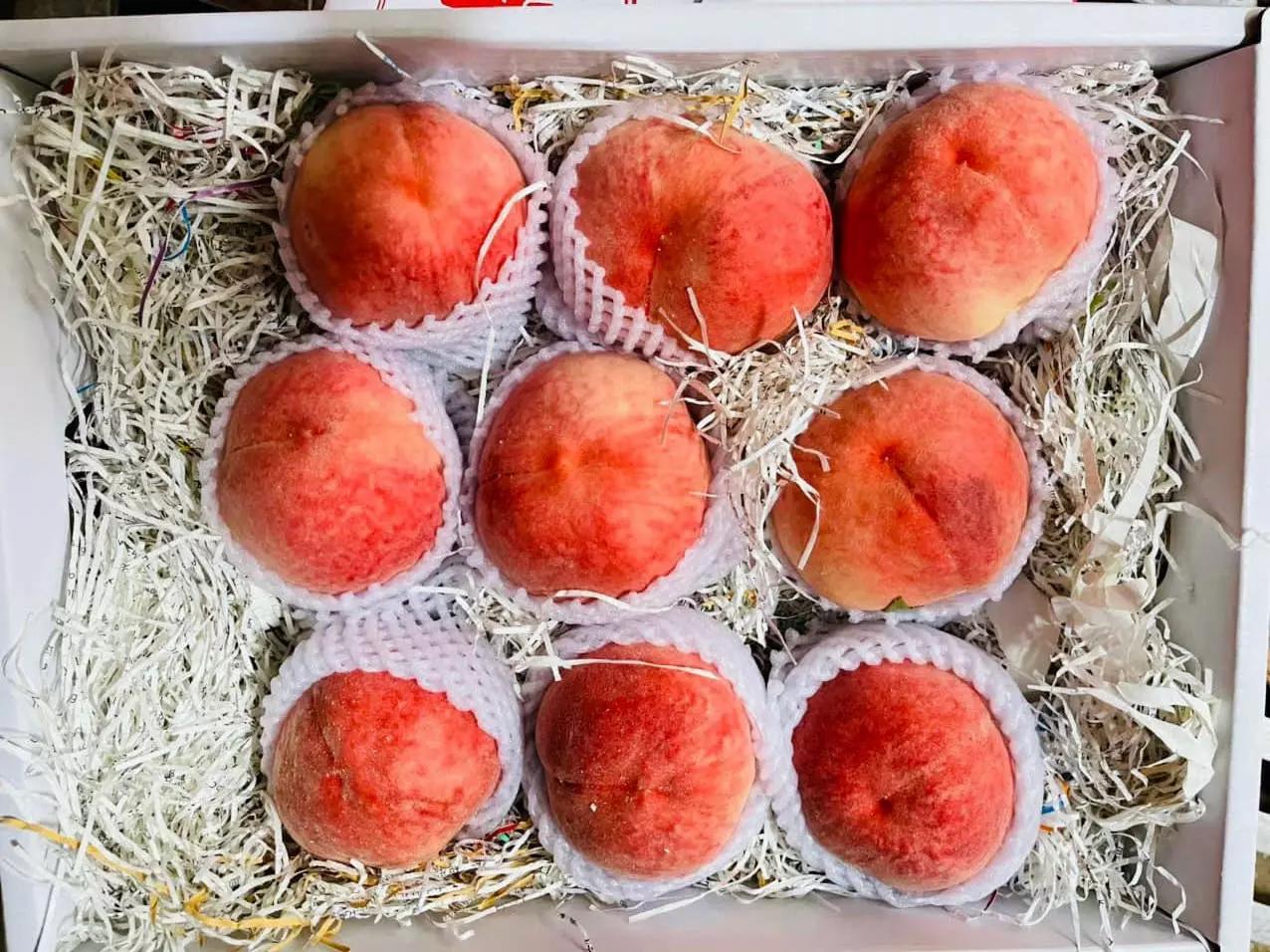 Tình huống lạ: Hàng Úc - Mỹ rẻ chưa từng có, đồ Trung Quốc giá cao vẫn đắt hàng - Ảnh 2. Tình huống lạ: Hàng Úc - Mỹ rẻ chưa từng có, đồ Trung Quốc giá cao vẫn đắt hàng - Ảnh 2.