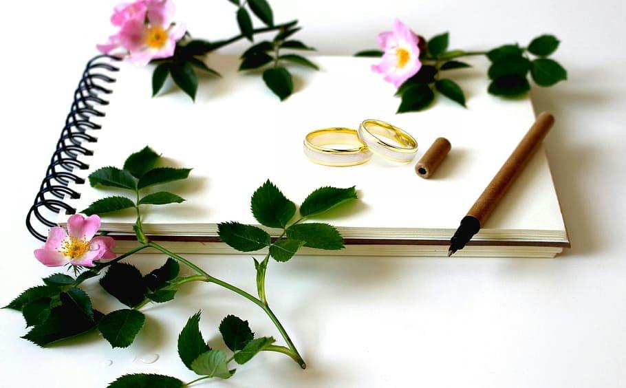 Lấy chồng cùng công ty, đồng nghiệp mừng cưới khiến tôi giật mình - Ảnh 2. Lấy chồng cùng công ty, đồng nghiệp mừng cưới khiến tôi giật mình - Ảnh 2.