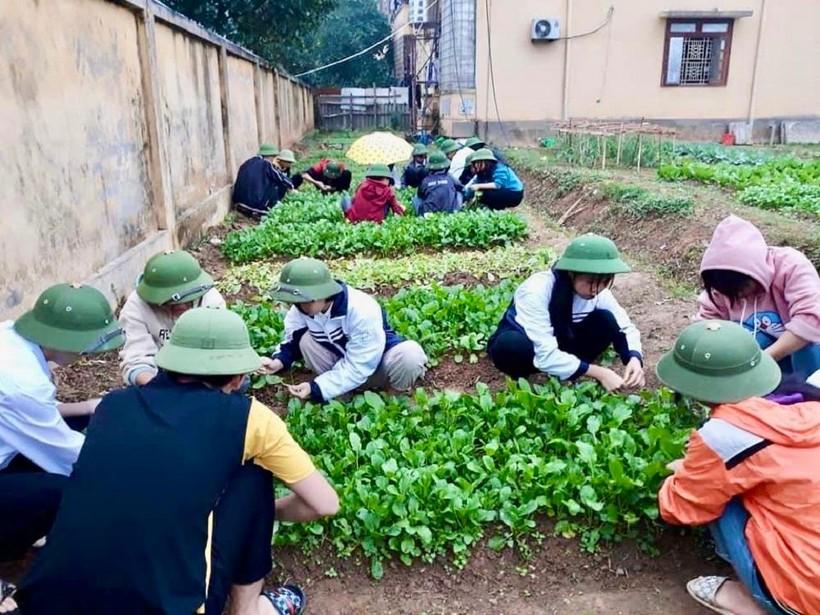 Đẩy mạnh hướng nghiệp cho học sinh dân tộc thiểu số  ảnh 2