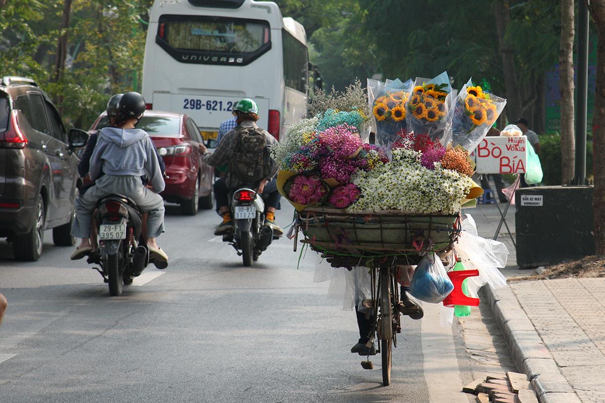 Chị em Hà thành tíu tít với cúc họa mi đầu mùa - Ảnh 1.