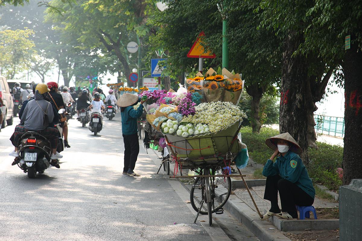 Chị em Hà thành tíu tít với cúc họa mi đầu mùa - Ảnh 2.