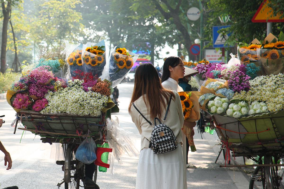 Chị em Hà thành tíu tít với cúc họa mi đầu mùa - Ảnh 3.