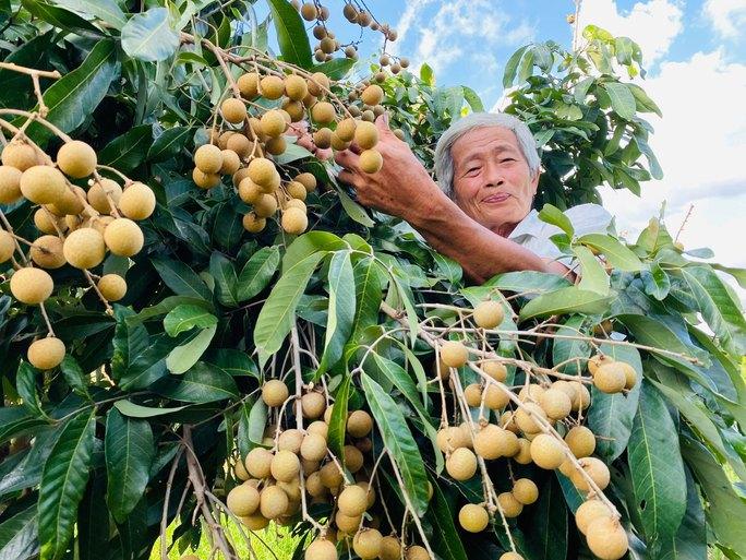 Vé thông hành cho nông sản - Ảnh 1.