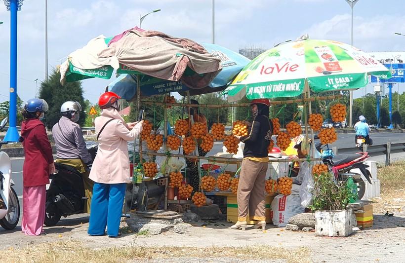 Tiềm năng kinh tế từ Thanh trà ở Vĩnh Long