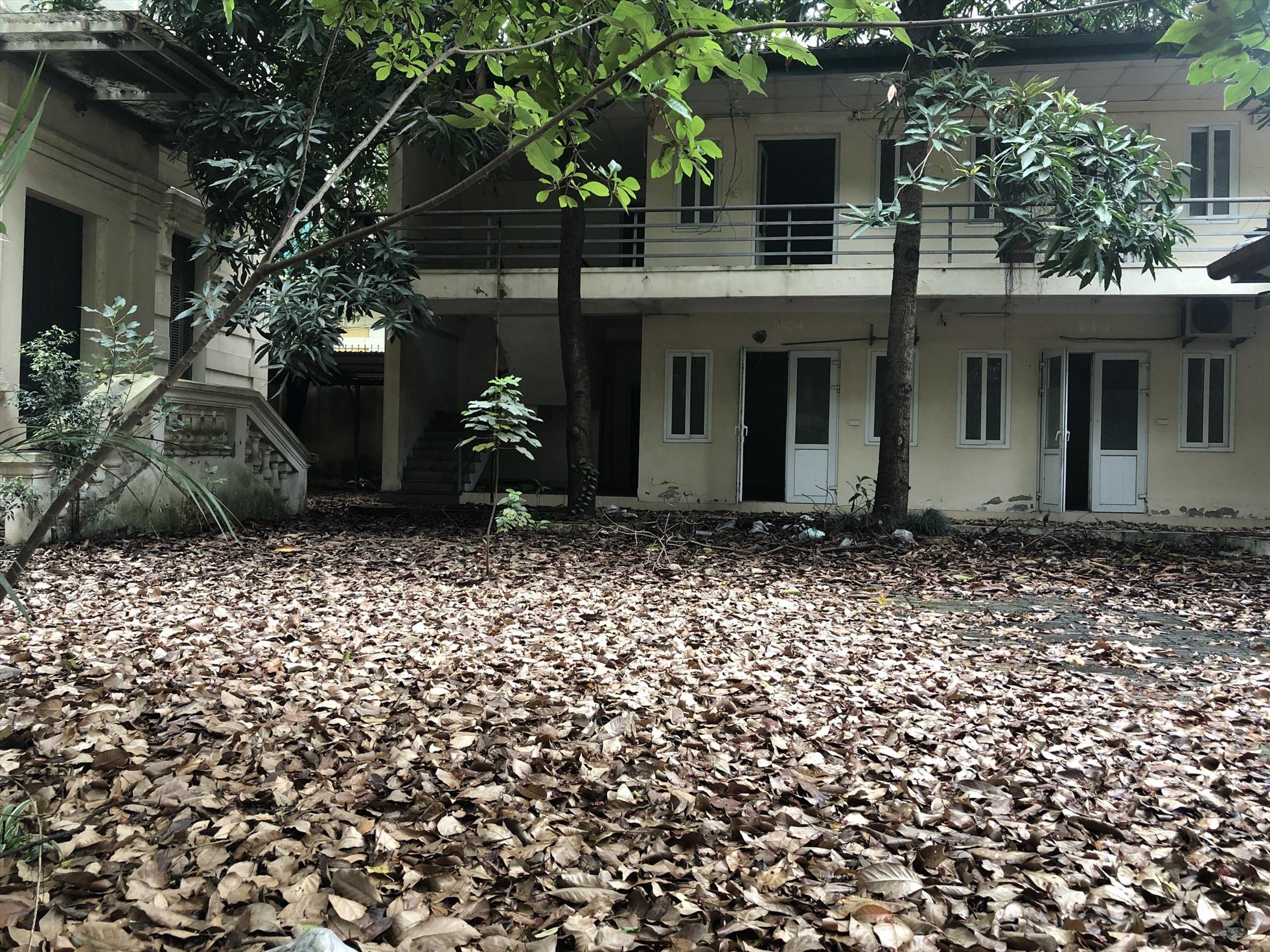 Trong khuôn viên biệt thự cũ ngập đầy lá khô. Ảnh: Hữu Chánh