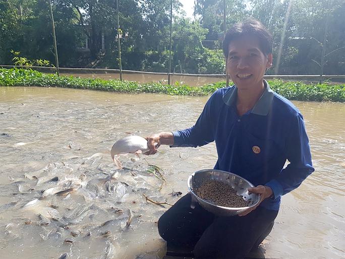 15-Ông-Trần-Văn-Đặng-cùng-đàn-cá-bên-bến-sông-nhà-mình 15-Ông-Trần-Văn-Đặng-cùng-đàn-cá-bên-bến-sông-nhà-mình