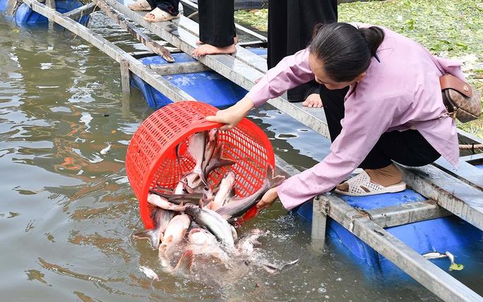 Tái tạo nguồn thủy, hải sản - Ảnh 1. Tái tạo nguồn thủy, hải sản - Ảnh 1.