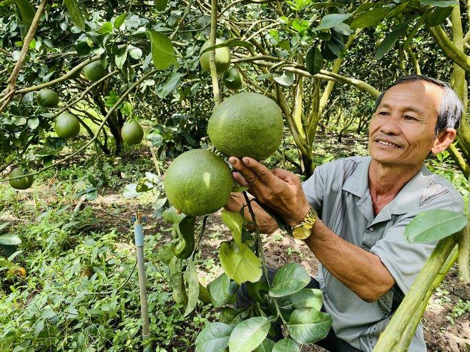 Nâng tầm nông - thủy sản Việt - Ảnh 2.