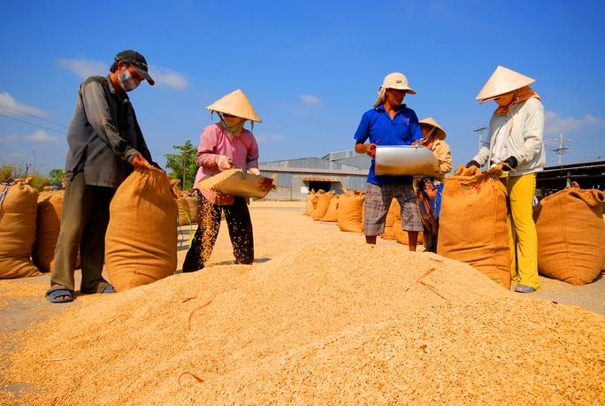 Nâng tầm nông - thủy sản Việt - Ảnh 1.