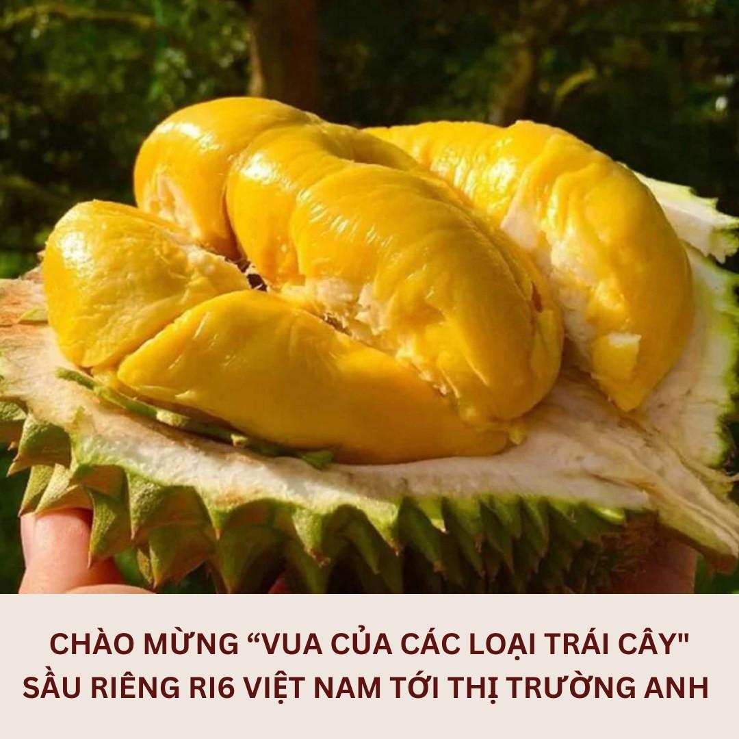 Sầu riêng Việt bán tại siêu thị Vương quốc Anh, 400 nghìn đồng/kg - Ảnh 1.