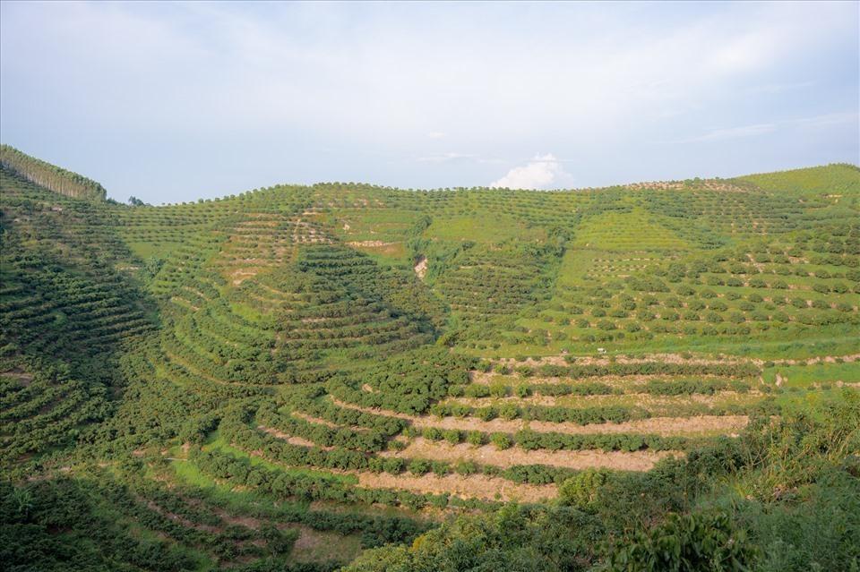 Chiến dịch quảng bá qua mạng xã hội giúp du lịch tỉnh Bắc Giang ngày càng phát triển. Ảnh: Trịnh Quý Long