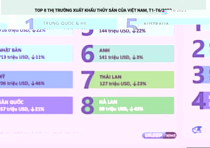 Mỹ giảm nhập tôm, cá của Việt Nam, Trung Quốc bất ngờ vươn lên số 1 - Ảnh 3.