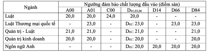 Trường ĐH Quốc tế, Luật, Ngoại ngữ- Tin học TP HCM công bố điểm sàn xét tuyển - Ảnh 2.