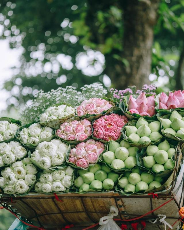 Bỏ túi ngay những địa điểm du lịch 2 ngày 1 đêm miền Bắc lý tưởng nhất cho mọi kỳ nghỉ - Ảnh 6.