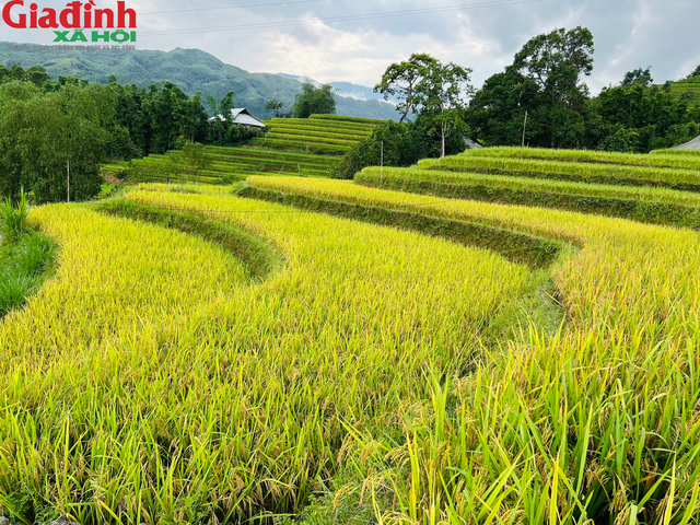 Bỏ túi ngay những địa điểm du lịch 2 ngày 1 đêm miền Bắc lý tưởng nhất cho mọi kỳ nghỉ - Ảnh 31.