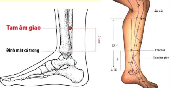 5 huyệt vị giúp cải thiện táo bón hiệu quả - Ảnh 4.