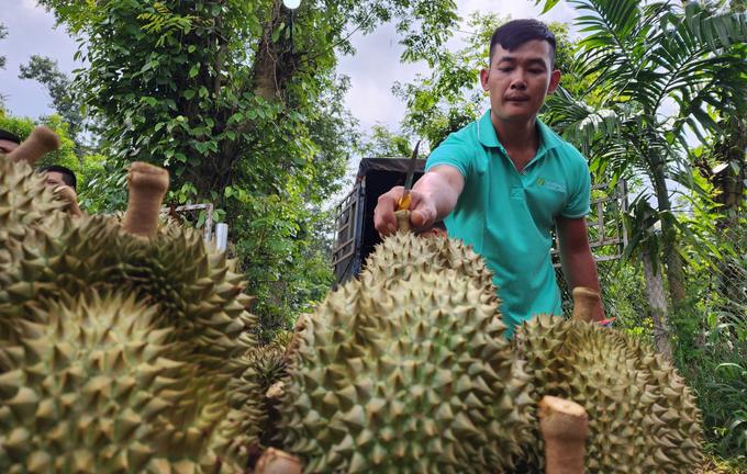 Các doanh nghiệp nên bắt tay nhau cùng đưa sản phẩm vào thị trường Trung Quốc thay vì cạnh tranh giá cả.