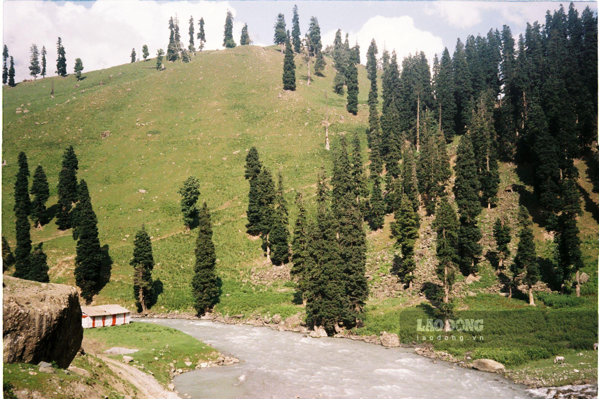 Khung cảnh đầu tiên về Kashmir trên cung KGL chính là Sonamarg với những cánh rừng lá kim mọc ven đồi cạnh các con suối lớn có nguồn nước chảy từ băng tan trên các dãy núi cao.