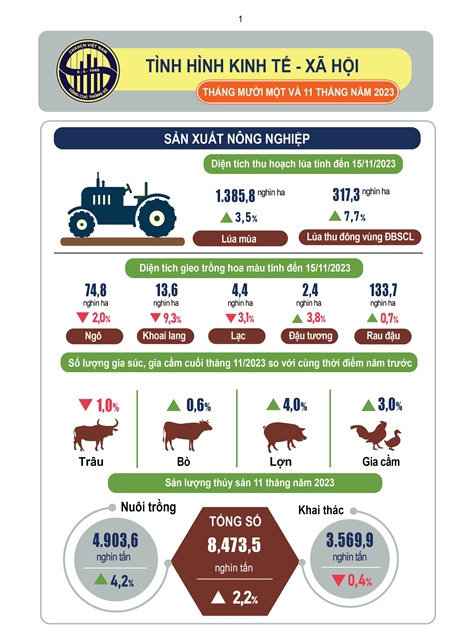 Infographic sản xuất nông nghiệp 11 tháng 2023 (Nguồn: Tổng cục Thống kê) 