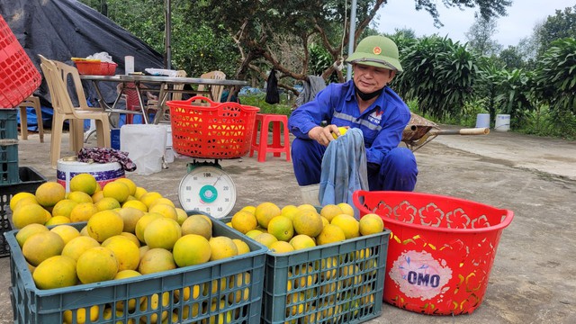 Được mùa cam, người dân phấn khởi thu hoạch- Ảnh 6.