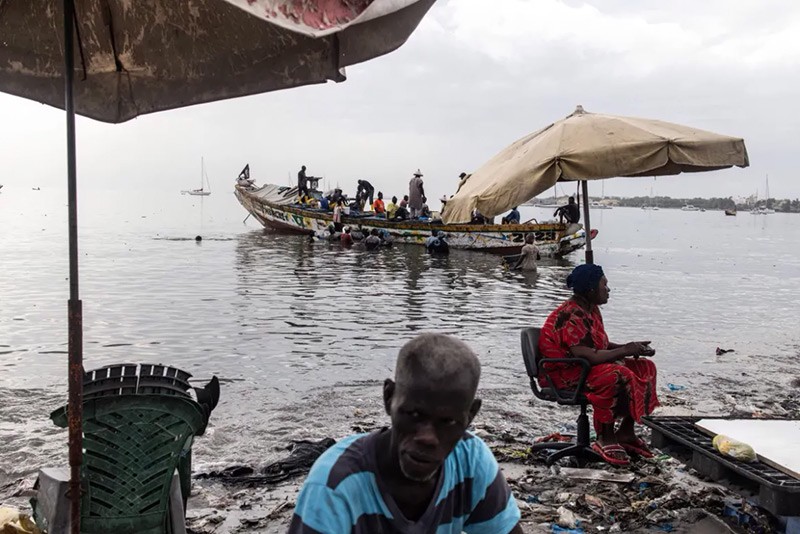 Ông cũng quan sát thấy số lượng enterococci, microplastic, nhôm, crom và kẽm vượt xa tiêu chuẩn.