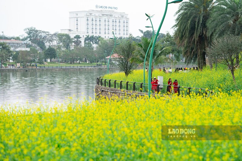 Những ngày qua, rất nhiều người dân và du khách đã tới đây để thưởng hoa, chụp ảnh. Ảnh: Tô Công - Tùng Vy.