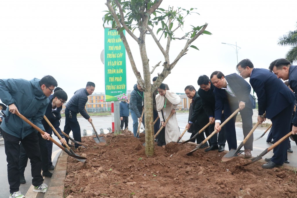 Các đại biểu trông cây