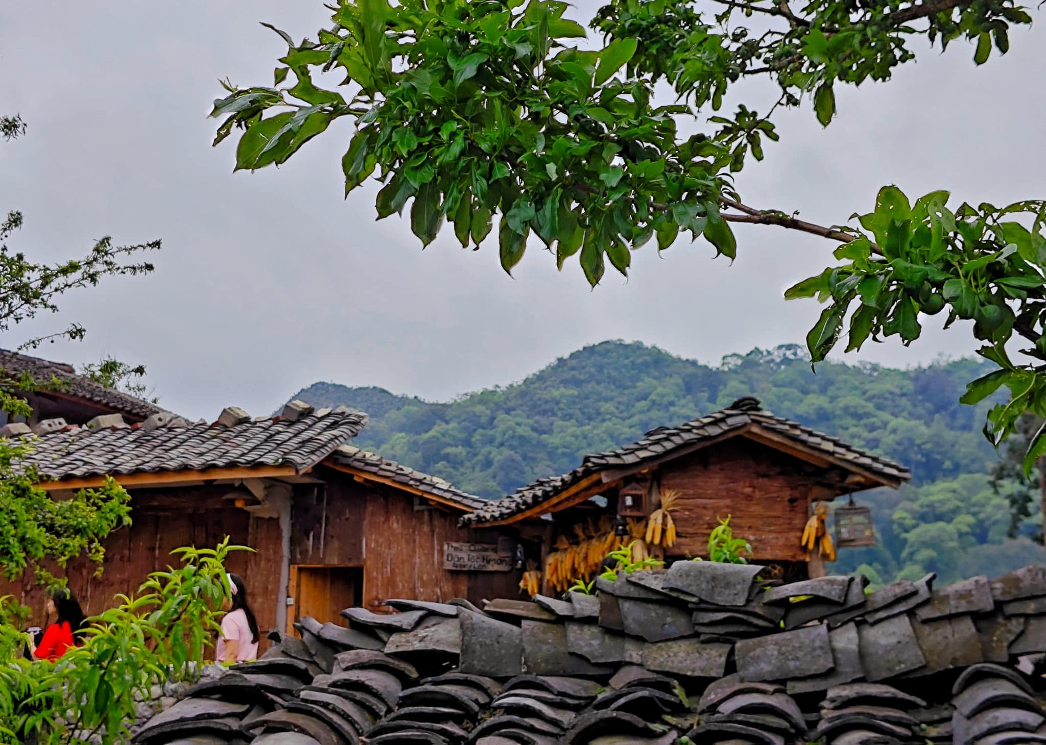 Nhà cổ Lao Xa