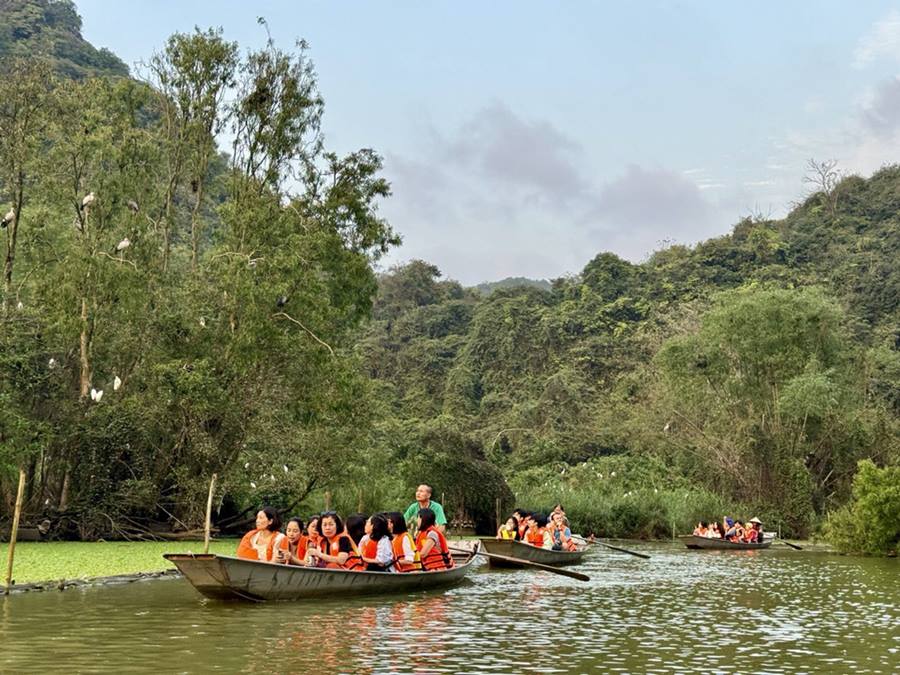 Ngắm cảnh những loài chim cò bay về tổ khiến du khách thích thú.