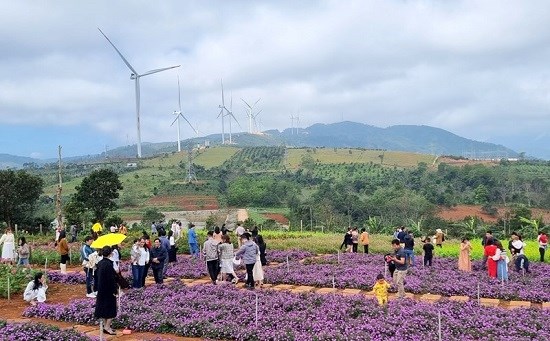 Cảnh giác với chiêu trò lừa đảo mua combo du lịch giá rẻ