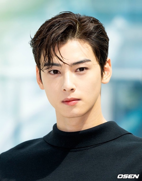 Nhan sắc của Cha Eun Woo. Ảnh: Osen