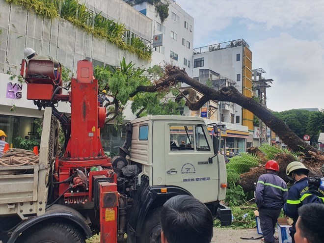 Trường học tại Hà Nội rà soát cây xanh trước bão số 3 Yagi