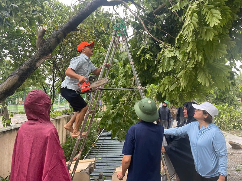 Các trường phối hợp với chính quyền cơ sở thu dọn, cắt tỉa cây xanh bị gãy đổ sau bão