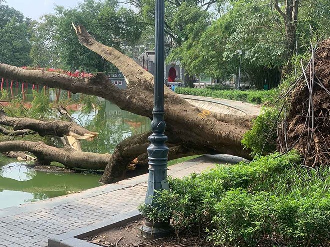 Nhiều siêu bão có thể ảnh hưởng Việt Nam