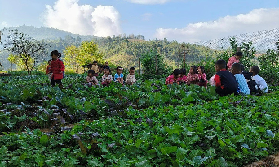 Học sinh Trường Mầm non Sơn Ca, xã Nậm Khắt, huyện Mù Cang Chải tham gia chăm sóc vườn rau cùng các cô giáo. truong-hoc-xanh-kich-thich-hoc-sinh-sang-tao-4.jpg