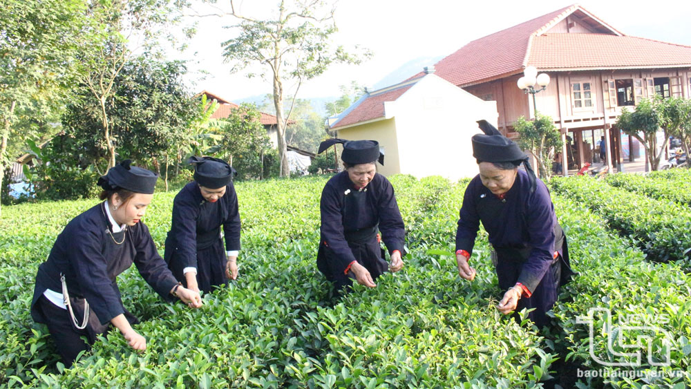 nguoi tan do giu gin ban sac van hoa dan toc de phat trien du lich hinh 1