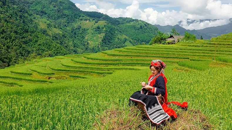 Vẻ đẹp của ruộng bậc thang Hoàng Su Phì.  